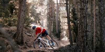 Mountainbike