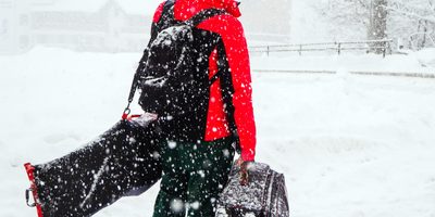 Snowboard Bags