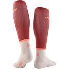 The Run Compression Tall v4 Socken Damen red