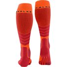 SK2 Intermediate Skisocken Herren flash orange