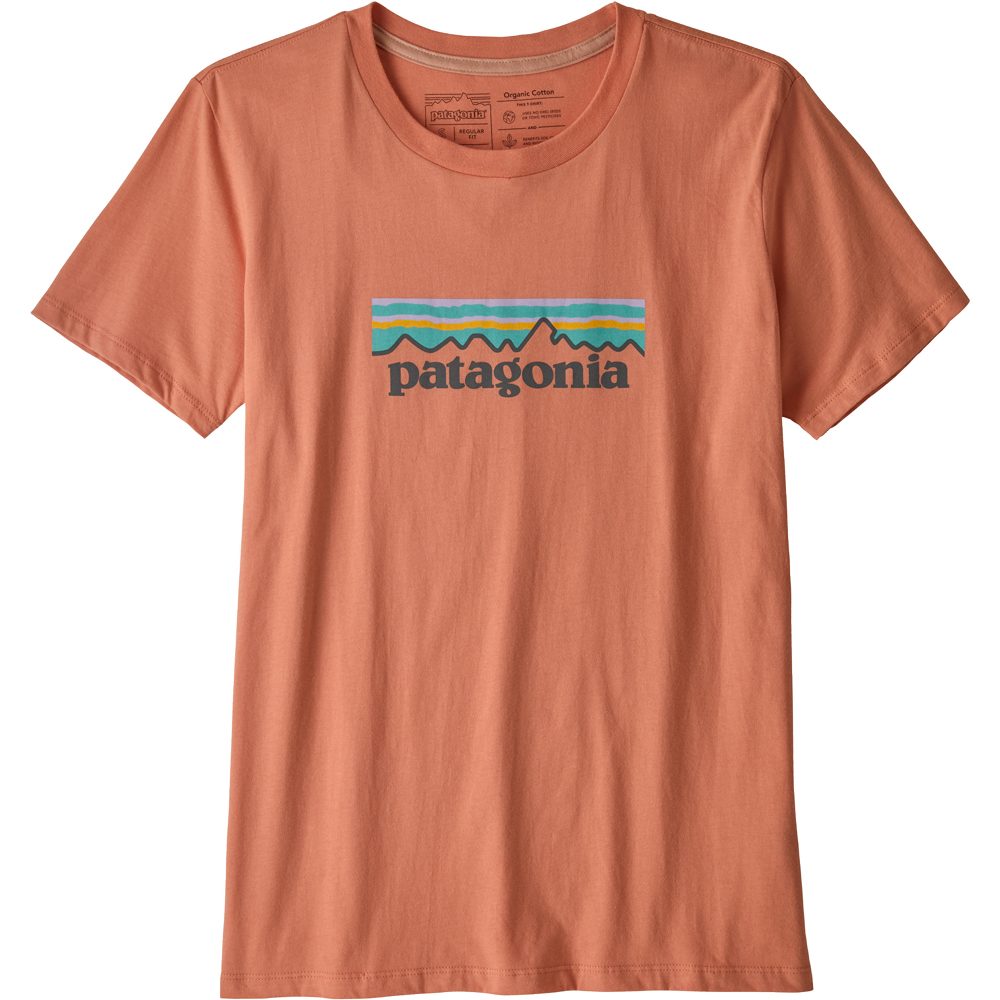 patagonia t shirt women