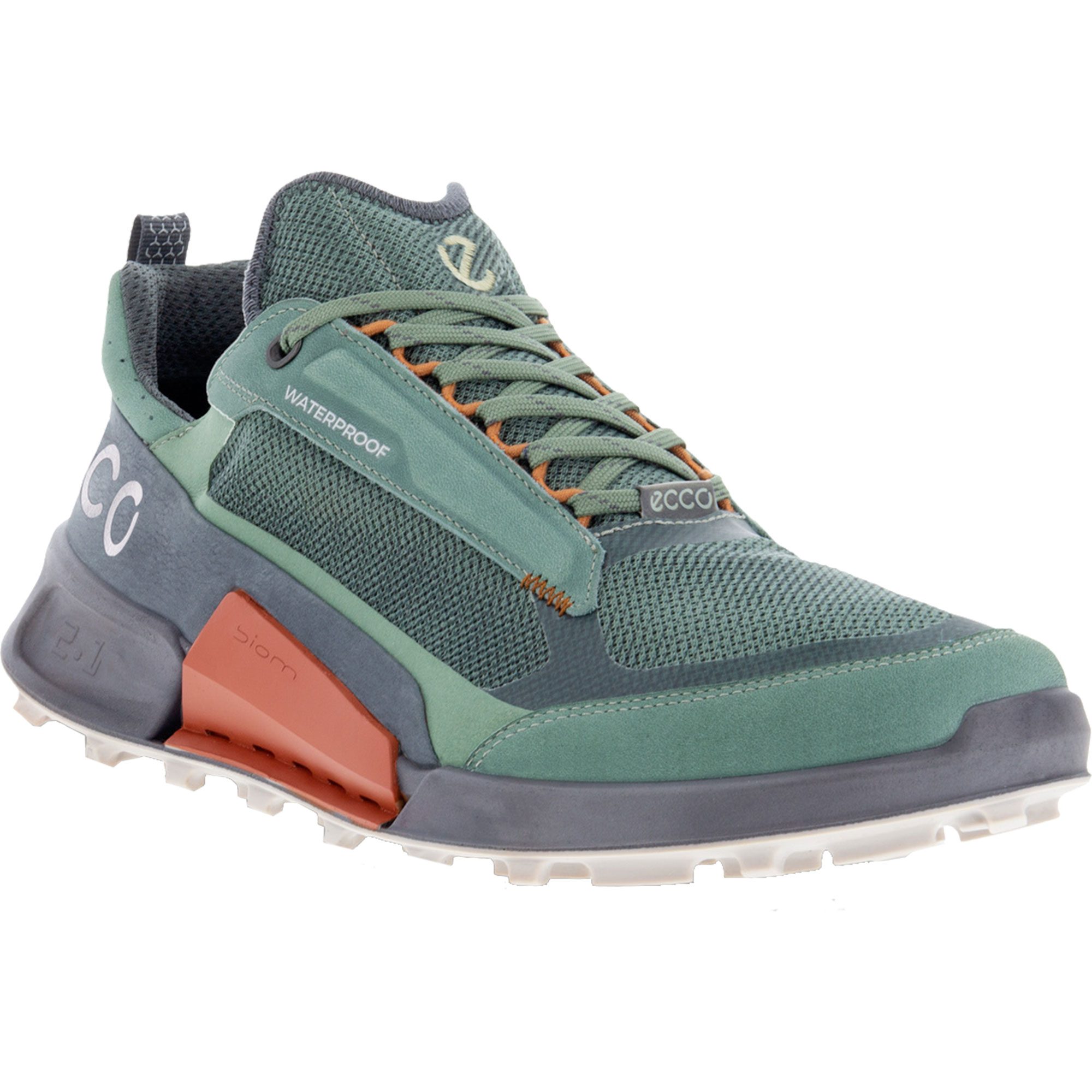 Portiek rand radar Ecco - BIOM 2.1 X MOUNTAIN Hiking Shoes Men green at Sport Bittl Shop