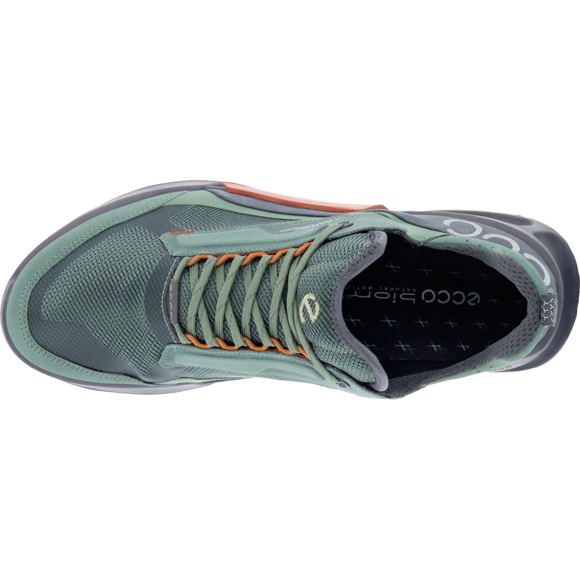Ecco - BIOM 2.1 X MOUNTAIN Shoes Men green at Sport Bittl Shop