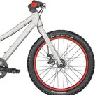 Scale 20 RC Bayern Rigid Disc Kids Bike raw alloy