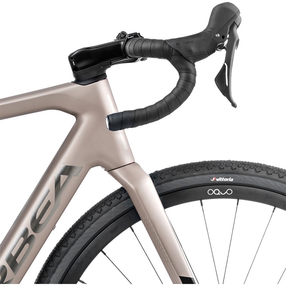Denna M30 E-Gravelbike nickel matt