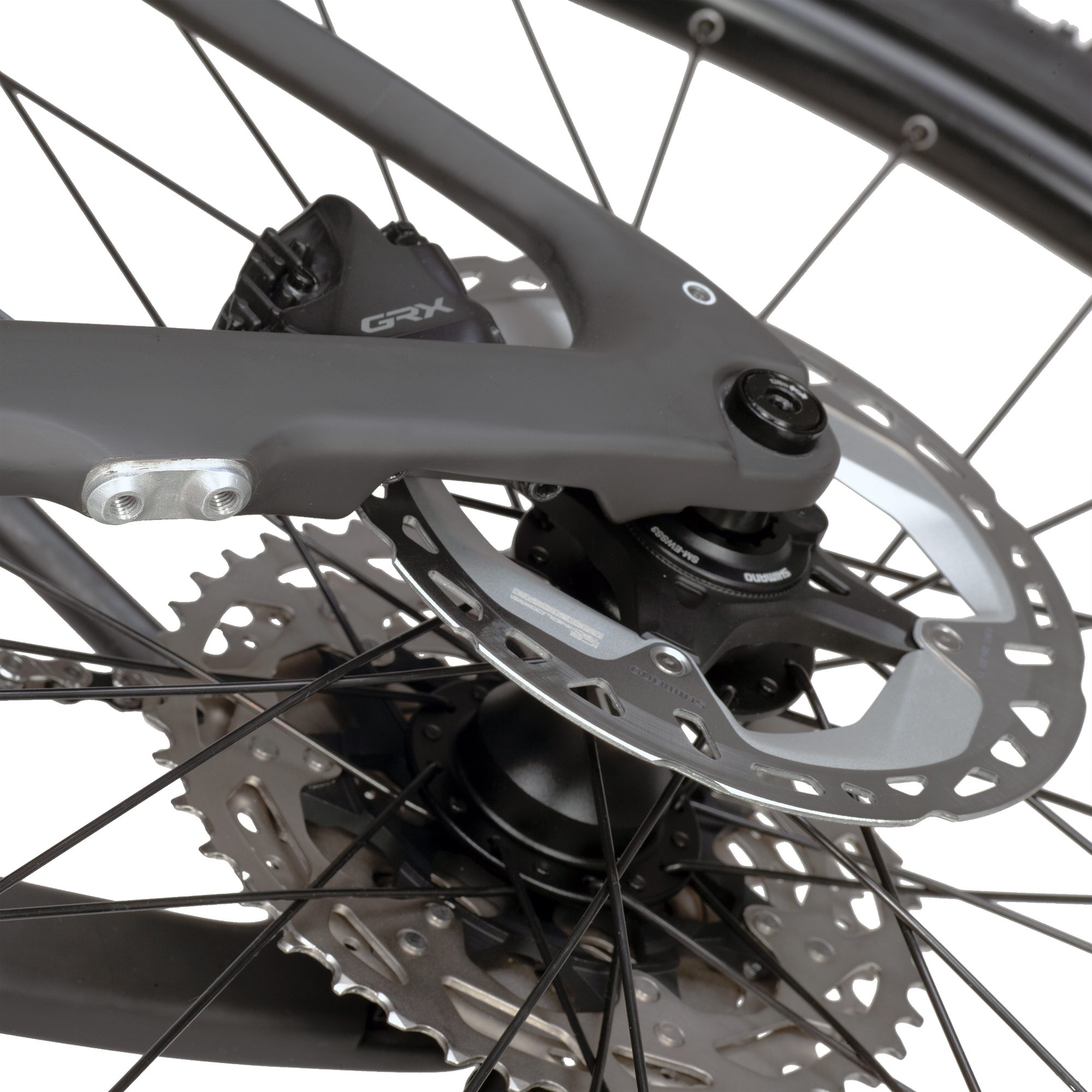 E-Grandurance Elite Carbon E-Gravel Bike raw carbon
