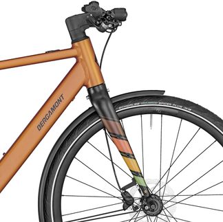 E-Sweep Sport E-Trekking Bike matt rusty orange