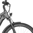 E-Horizon FS Edition E-Trekking Bike flaky grey