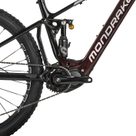 Crusher RR Carbon E-MTB Fully transluscent red