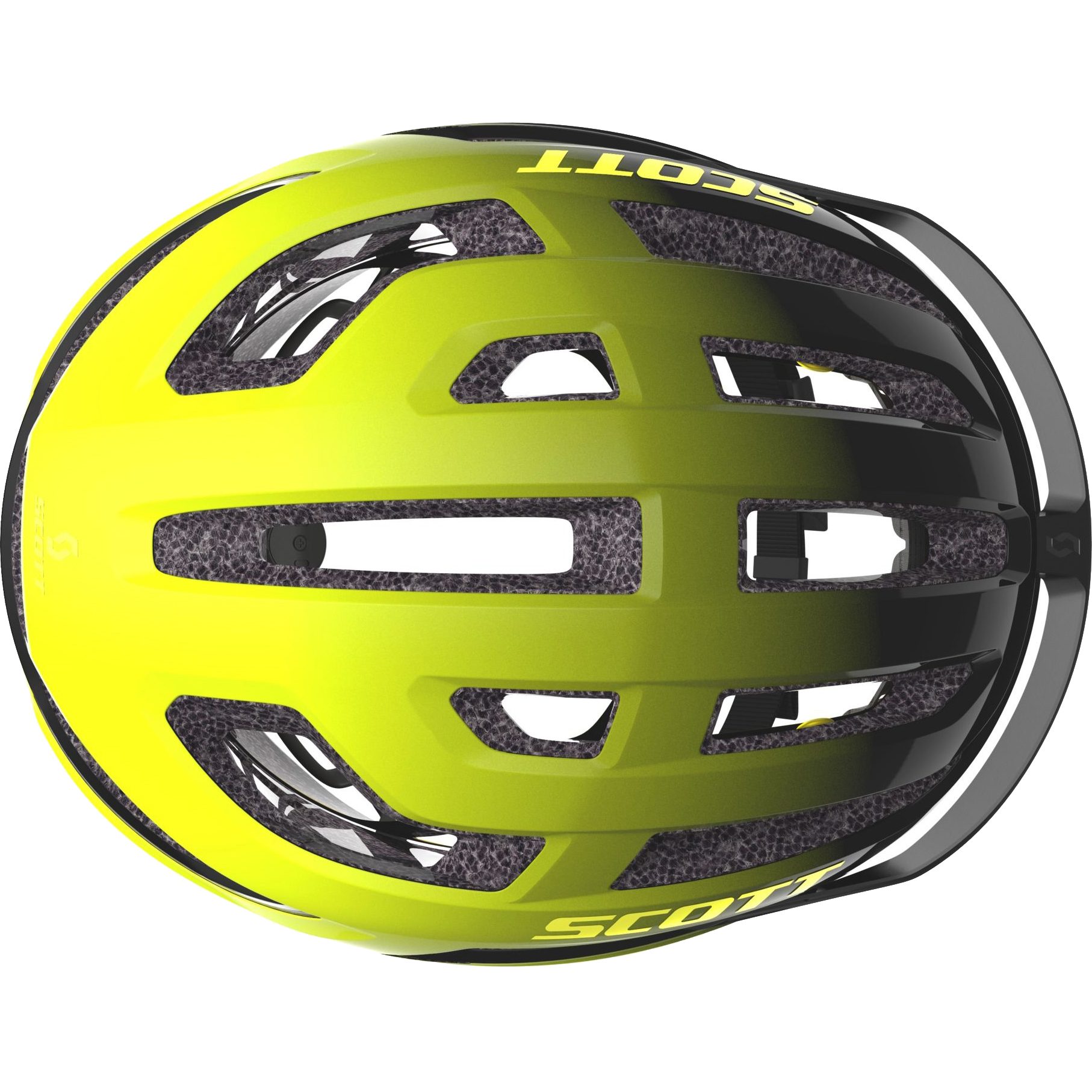 Scott arx plus 2019 on sale
