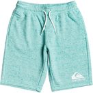 Easy Day Sweat Shorts Boys geah cabbage heather
