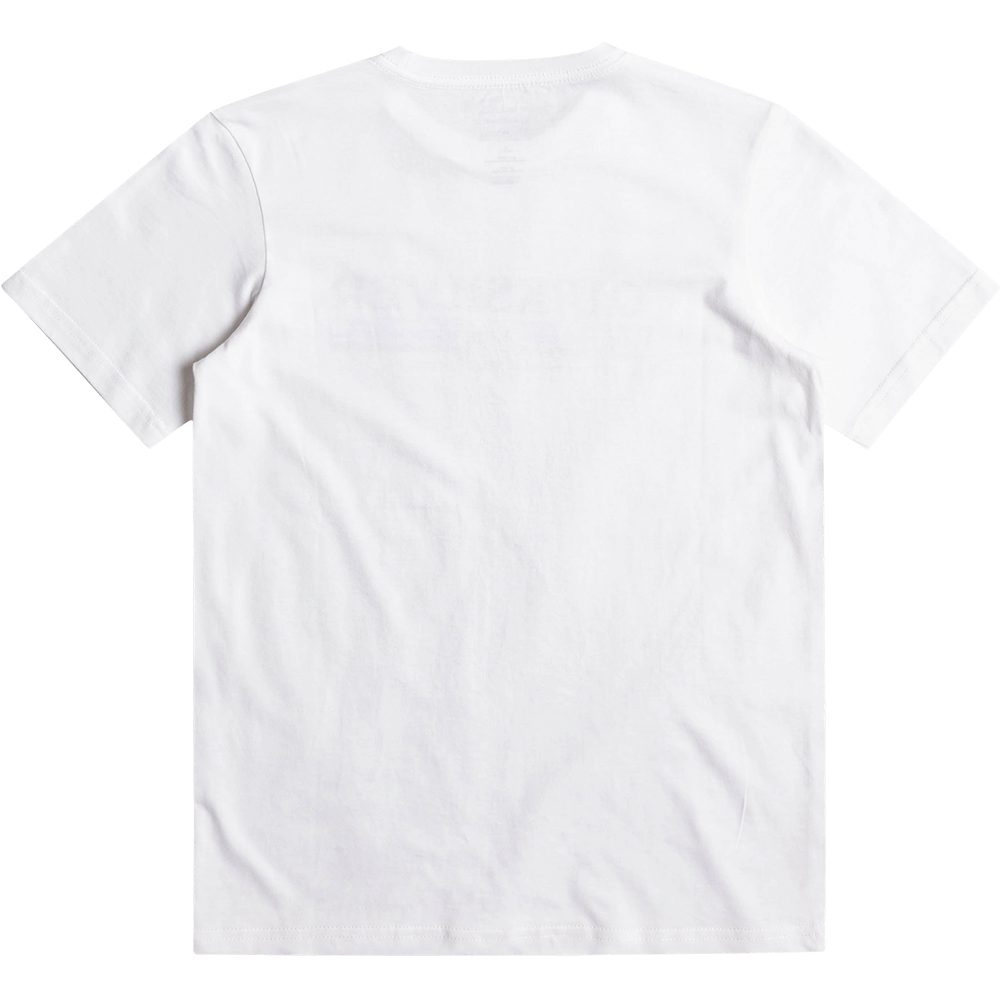 Quiksilver Boy's Lined Up T-Shirt