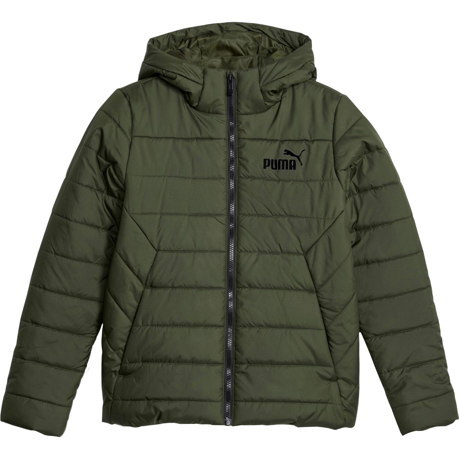 Padded - Bittl Boys Essentials Shop Sport myrtle Jacket Hooded at Puma