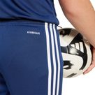 Squadra 25 Shorts Kinder team navy blue 2