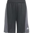 Training AEROREADY Heather Shorts Jungen black