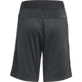 Training AEROREADY Heather Shorts Jungen black