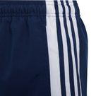 Squadra 21 Woven Shorts Kids team navy blue