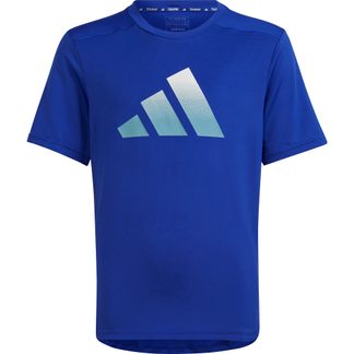 adidas - Train Icons Aeroready Logo T-shirt Boys Lucid blue