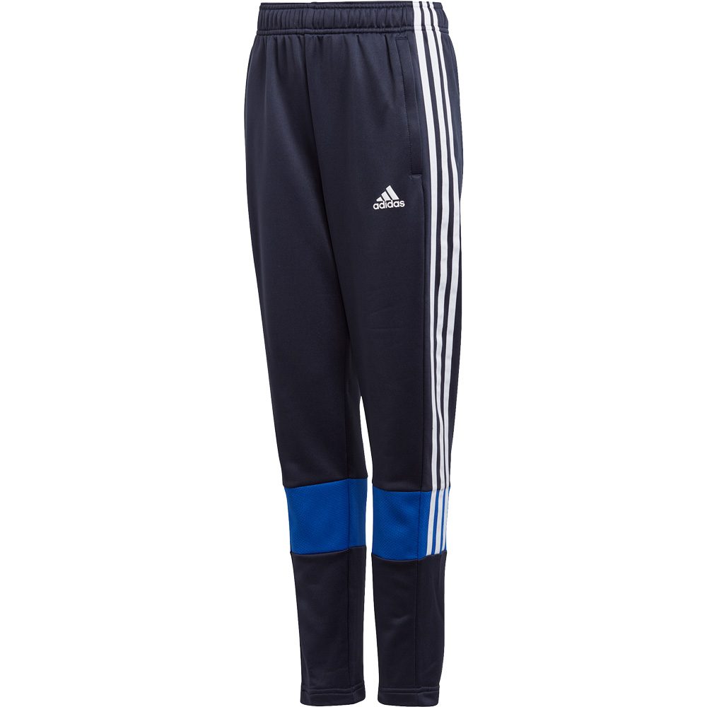 royal blue adidas track pants