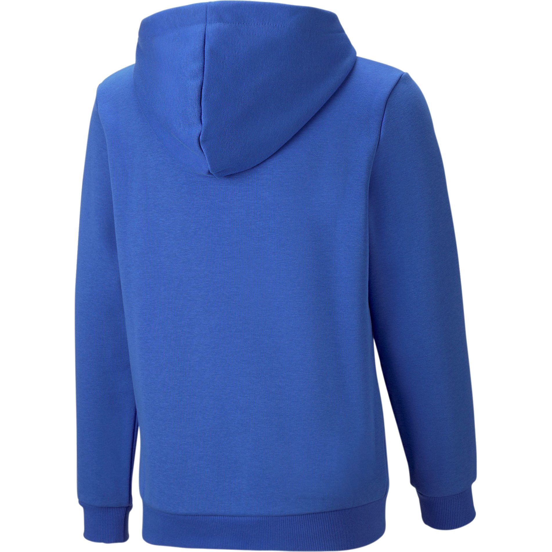 Puma - Essentials+ Colorblock Hoodie Kinder royal sapphire kaufen im Sport  Bittl Shop | Sweatshirts