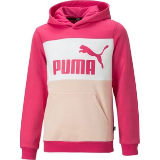 Puma - Essentials+ Colorblock Hoodie Kinder orchid shadow at Sport Bittl  Shop