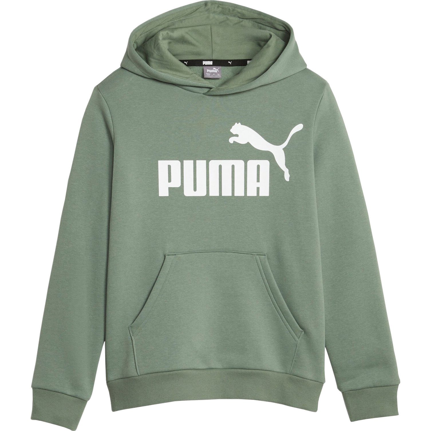 Puma - Essentials Big Logo FL Hoodie Boys eucalyptus at Sport Bittl Shop