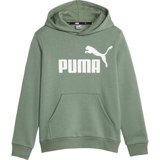 Puma - Essentials Big Logo FL Hoodie Jungen eucalyptus