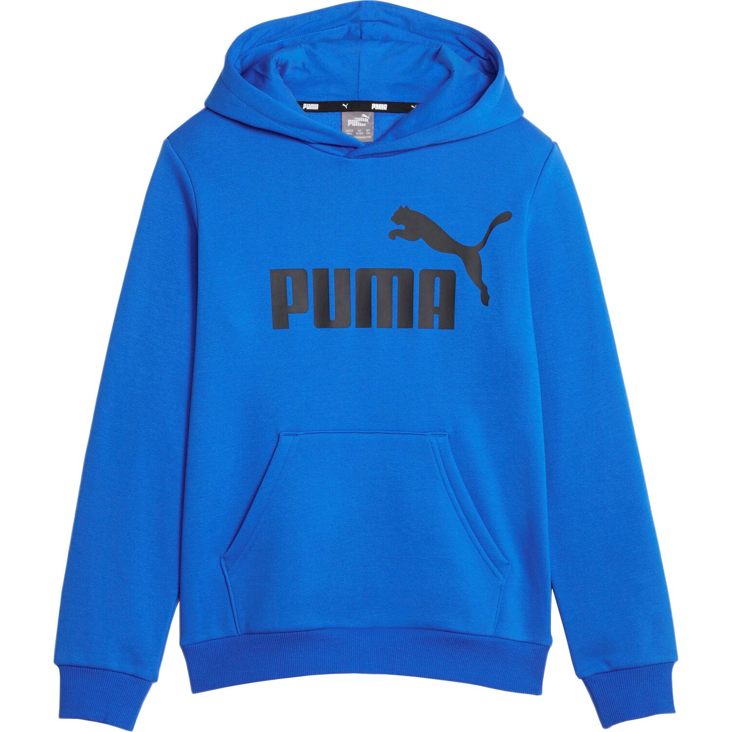 Shop Big - Essentials Hoodie Bittl racing Puma Sport Logo FL Boys blue at