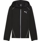 Active Sports Full-Zip TR Hoodie Boys puma black