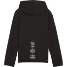 Active Sports Full-Zip TR Hoodie Jungen puma black