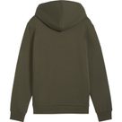 Essentials+ 2 Col Big Logo Fleece Hoodie Boys dark olive