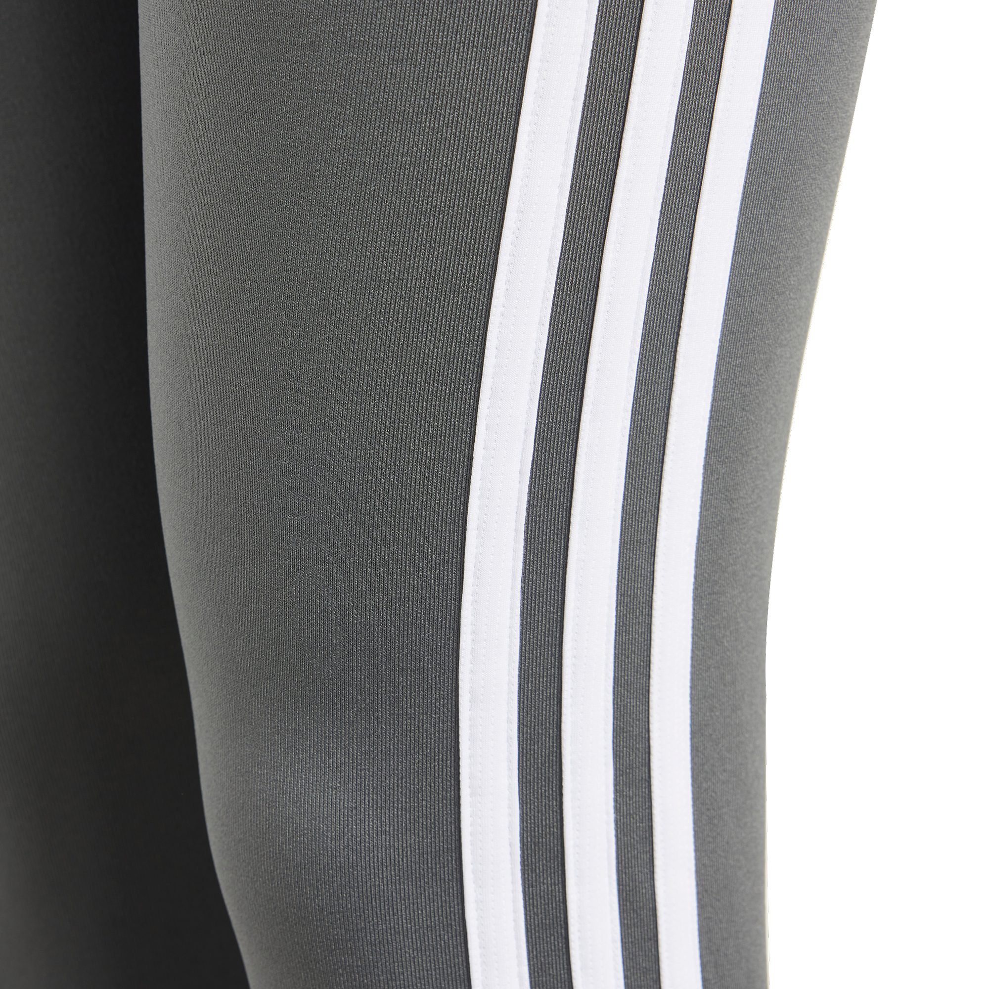 Adidas parrot leggings best sale