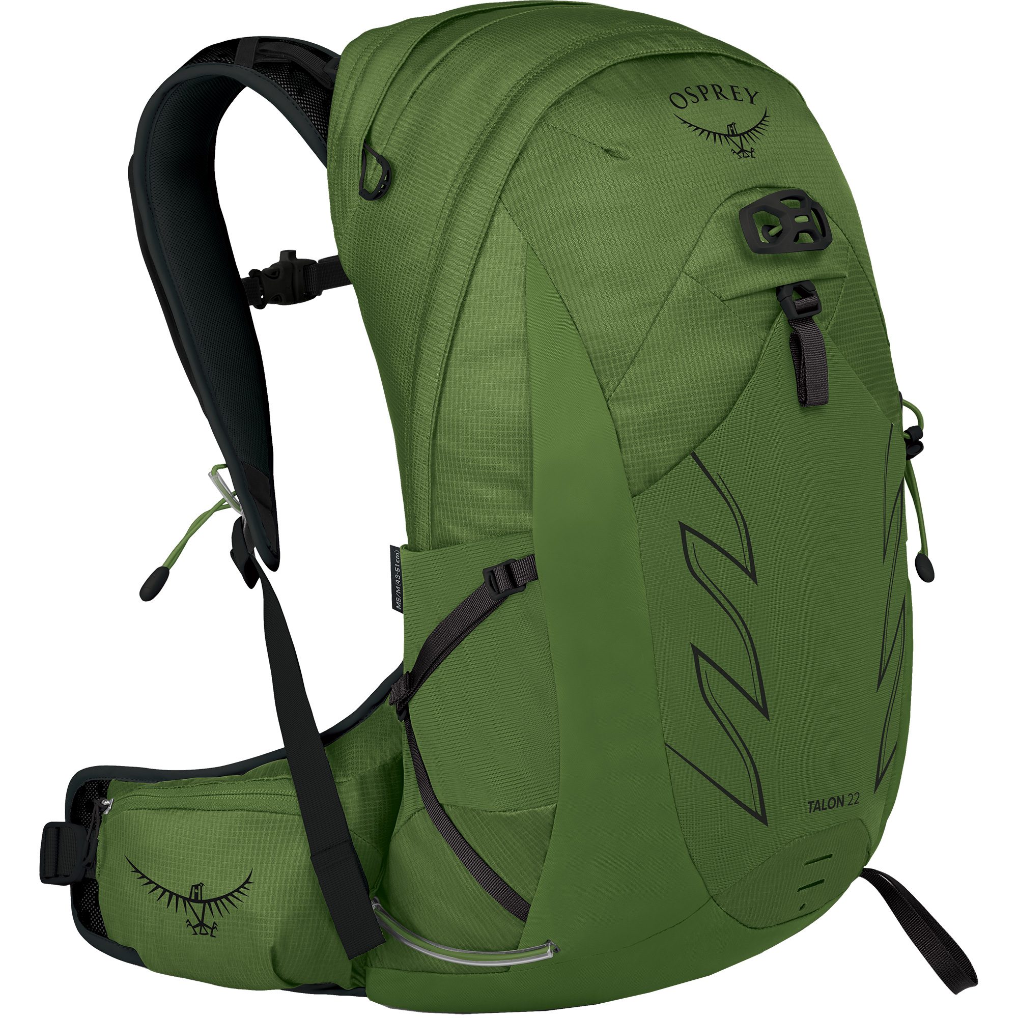 Osprey Talon 22l Backpack Men green belt at Sport Bittl Shop
