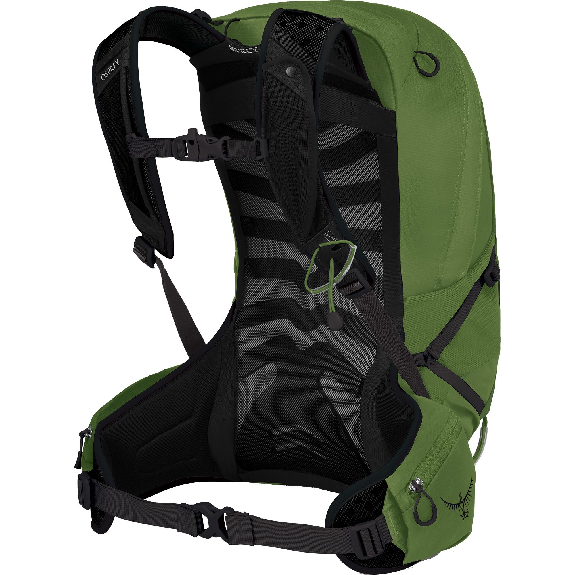 Talon 22 on sale