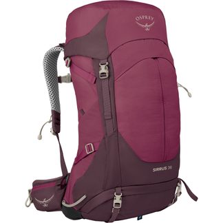 Osprey - Sirrus™ 36l Trekkingrucksack Damen elderberry purple