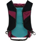 Traverse 22l Backpack Unisex beet red
