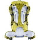 Freerider Pro 34+ Ski Touring Backpack cactus