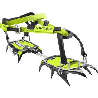 Shark Crampons night oasis