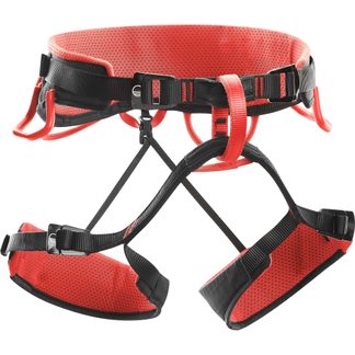 Wild Country - Syncro Klettergurt black red