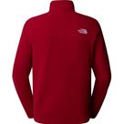 100 Glacier 1/4 Zip Pullover Women garnet red