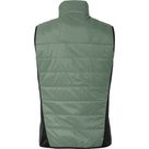 Sesvenna IV Vest Men agave