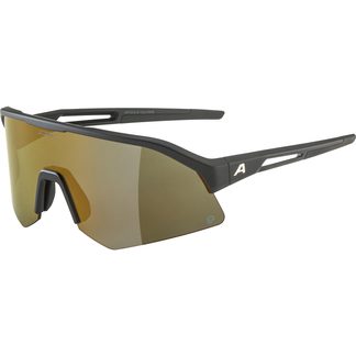 Alpina - Sonic HR Q Sonnenbrille black matt