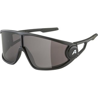 Alpina - Legend Sunglasses black matt