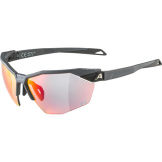 Alpina - Twist Six HR QV Sonnenbrille grey matt