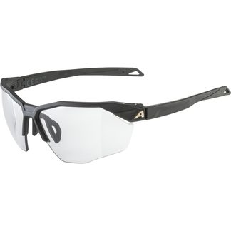 Alpina - Twist Six HR V Sonnenbrille black matt