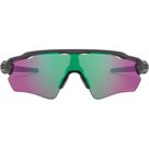Radar® EV Path Sunglasses steel