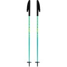 Oxus Alpine Ski Poles turquoise