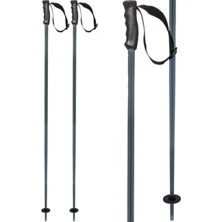 Head - Multi Alpine Poles grey