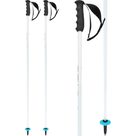 Worldcup SL Alpine Poles white