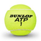 ATP Championship Tennisbälle 4er gelb